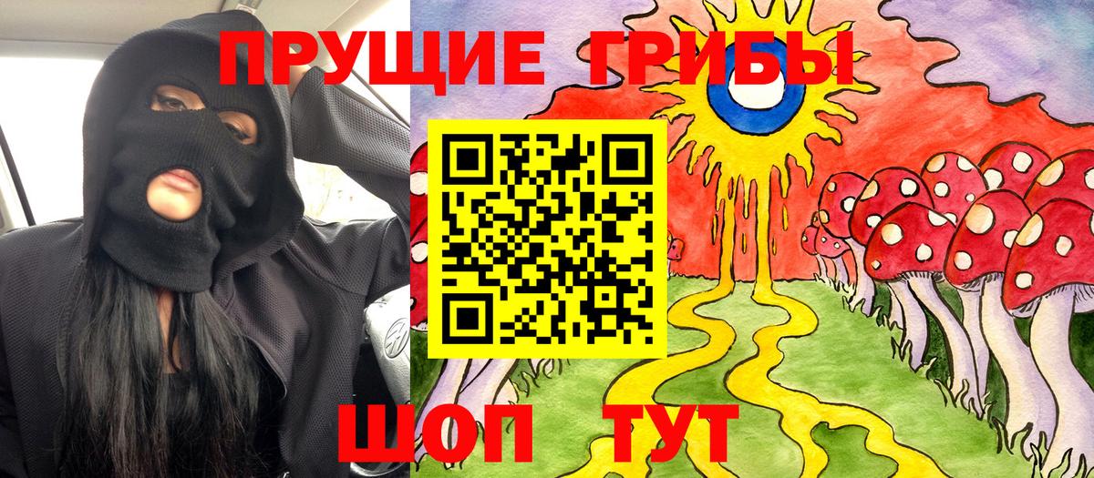 Алексин  Псилоцибиновые грибы Psilocybine cubensis  Вход с VPN  Псилоцибиновые грибы мухоморы 
